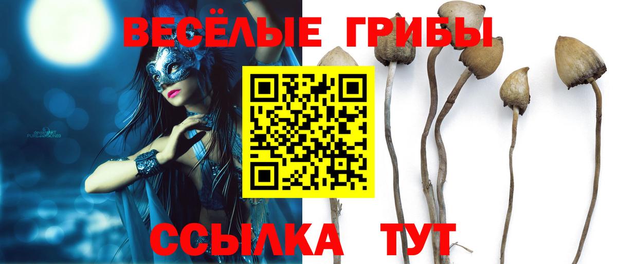 Псилоцибиновые грибы MAGIC MUSHROOMS Надым